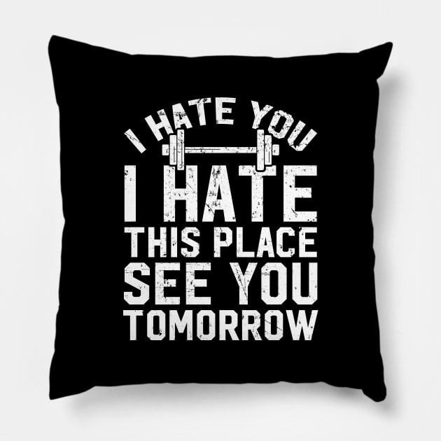 I hate you I hate this place see you tomorrow Pillow by captainmood