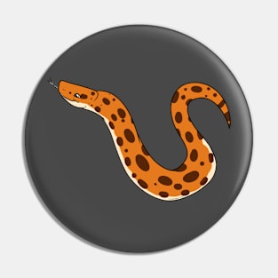 Dodoma Sand Boa Pin