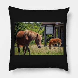 Assateague Pony Moonshadow with Foal Moonbeam Pillow