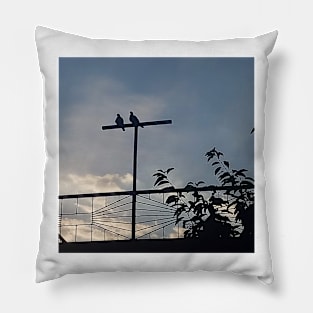 Pair Of Doves Pillow