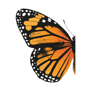 Monarch Butterfly | Left Wing | Vintage Butterflies | Butterfly Wings | Diptych | T-Shirt