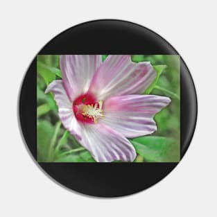 Mallow #2 Pin