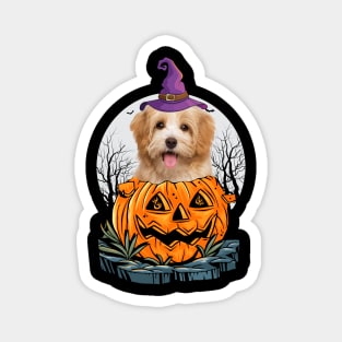 Havanese Halloween Dog Shirt With Witch Hat Pumpkin Funny Gift Magnet