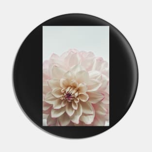 Intrepid x dahlia flower botanical photograph Pin