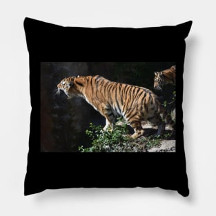 Roaring Tiger Pillow