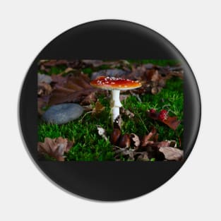 beautiful red toadstool on mossy forest floor Pin