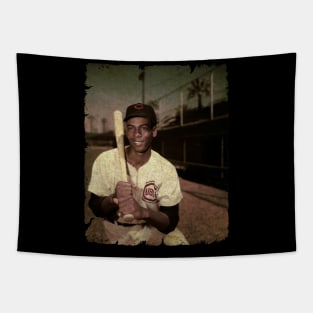 Ernie Banks in Chicago Cubs Tapestry