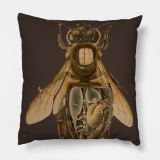 Anatomy of a Bee Pillow