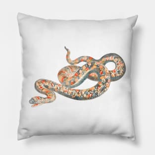 serpent,cobra,reptile,viper,venom,lizard,rattlesnake,king cobra,dragon,hydra,poison,venomous,plumber's snake,pythonidae,pythons,auger,python,squamata,serpentine,worm,big,ophidian,rattlesnakes,medusa,snakebite Pillow