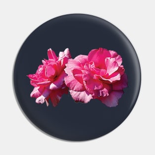 Roses - Two Pink Roses Pin