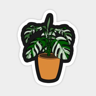 Monstera Albo Plant Illustration | Plant in a pot Magnet