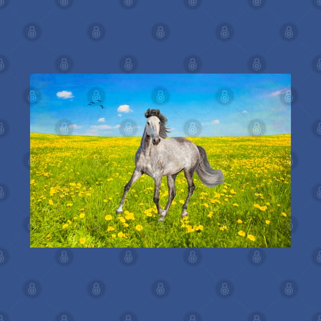 Dapple Gray Horse in Spring Field by lauradyoung