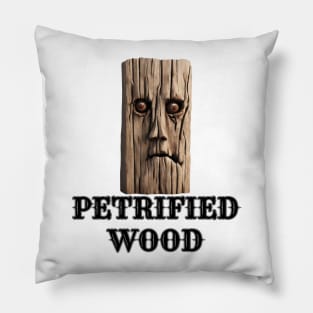 Petrified Wood Pillow