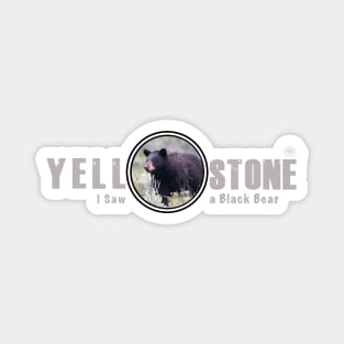 I Saw a Black Bear, Yellowstone National Park Magnet