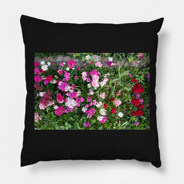 Natural background with pink flowers Pillow by NxtArt