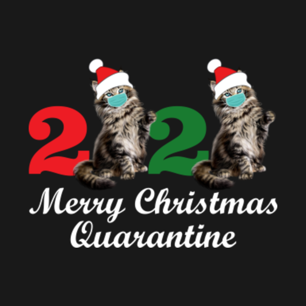 2020 Merry Christmas Quarantine Maine Coon Cat Wear Mask