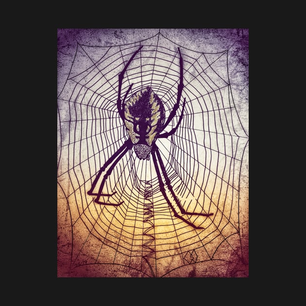 Spider Web in grunge by Matt Starr Fine Art