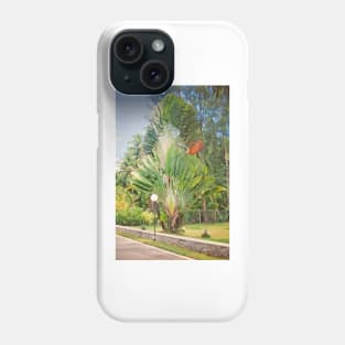 Seychelles splendour Phone Case