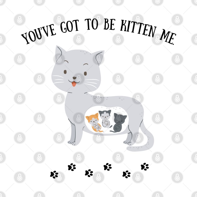 You've got to be kitten me by Mission Bear