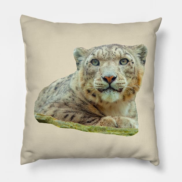 Just look into my eyes Pillow by dalyndigaital2@gmail.com