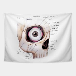 Spooky Eye Anatomy Tapestry