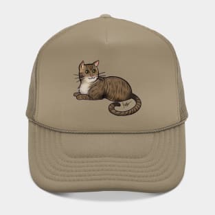 Cat - American Shorthair - Brown Tabby Hat