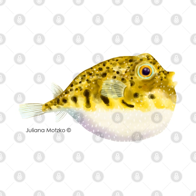 Pufferfish by julianamotzko