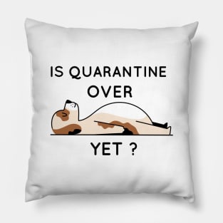 Is quarantine over yet Pillow