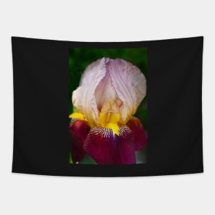 Indian Chief Iris Tapestry