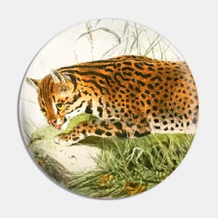 Leopard illustration Pin