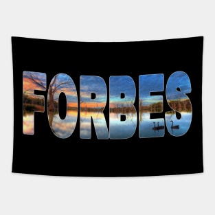 FORBES - NSW Australia Lake Forbes Sunset Black Swans Tapestry