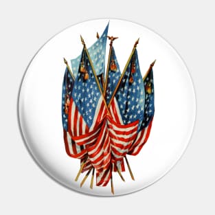 Vintage American Flags Pin