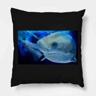 sharko Pillow