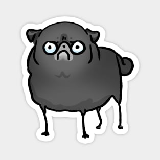 Angry Pug (black) Magnet