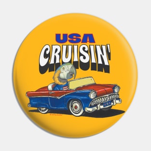 Funny and cute African blue and gold Macaw Bird driving a classic car cruising the USA Pin