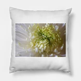 Classic Chrysanthemum Pillow