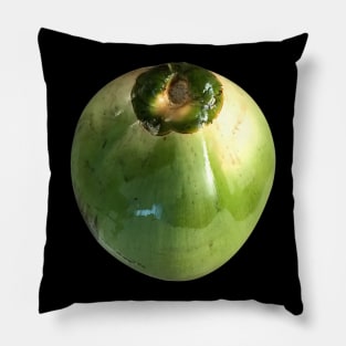 isolated COCONUT Pillow