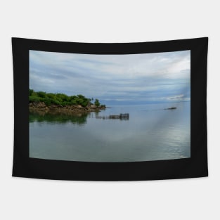 Apparel, home, tech and travel design Tapestry