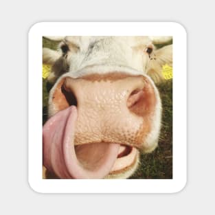 Portrait Of Cow Cute Funny Cow Gift Magnet