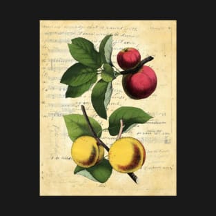 Vintage Apple Apricot Botanical on book page T-Shirt