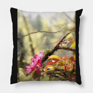 red Malus 'Radiant' crab apple blossoms #10 Pillow