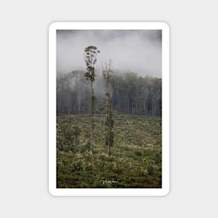 Cathedral Range, Taggerty, Victoria, Australia. Magnet