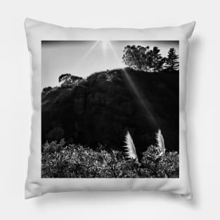 Pampas Grass, Glen Canyon Park, San Francisco Pillow