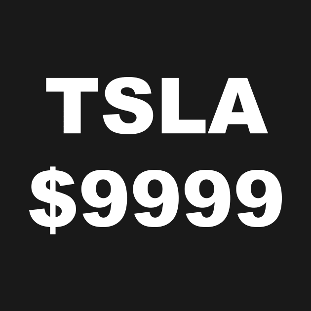 TSLA $9999 by AviToys