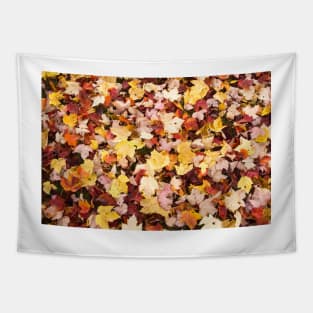 leaves in the fall Tapestry