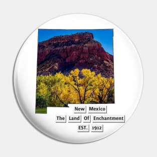 New Mexico USA Pin