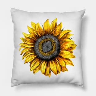 Flower like a sun Pillow