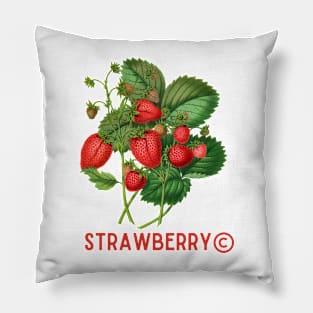 Vintage Strawberry Classic Pillow