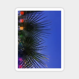 Retro Palm Trees. California Magnet