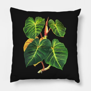 Philodendron verrucosum botanical illustration Pillow